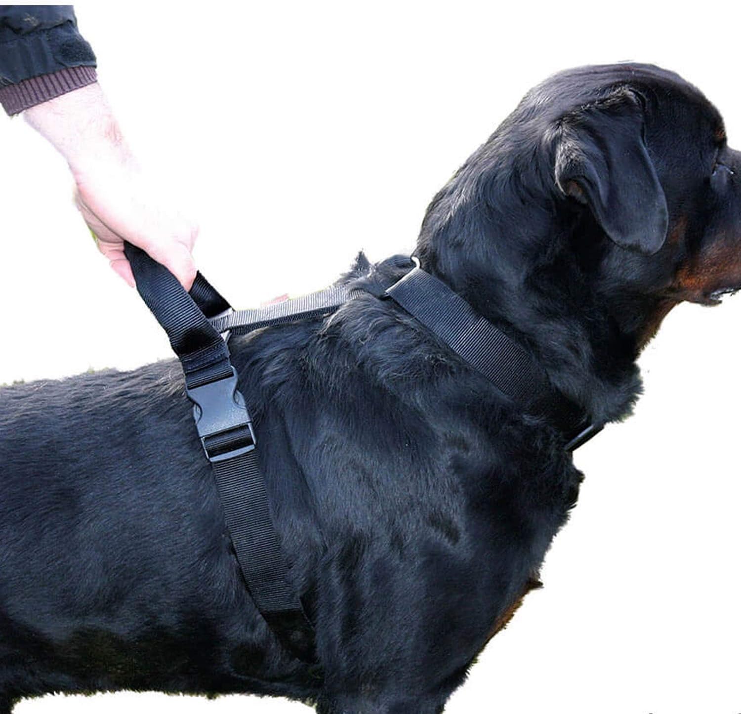 Martin Sellier Harnais Avec Poignee D Intervention Pour Chien Nylon 90 110cm X 40mm Amazon Fr Animalerie Martin Sellier Harnais Avec Poignee D Intervention Pour Chien Nylon 90 110cm X 40mm Amazon Fr Animalerie