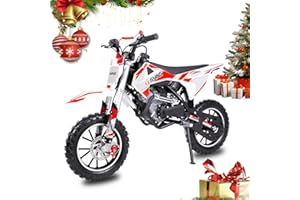 SYING 58CC 4-Stroke Kids Dirt Bike, Pro Engine Gas Dirt Bikes for Kids 8-14, Pull Start Motorbike, 10" Wheels Up to 21.75 Mph Mini Moto Gift for Child Teens, W/EPA Approved