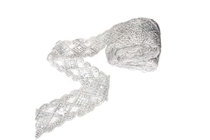 levylisa 10 Yards Beaded Lace Trim Sequins Lace Mesh Trim Lace Ribbon Applique Sewing Craft Supplies (Silver)