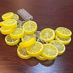 Fruit String Lights Battery Powered Indoor Outdoor