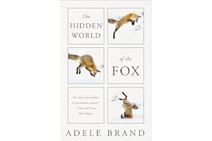 The Hidden World of the Fox