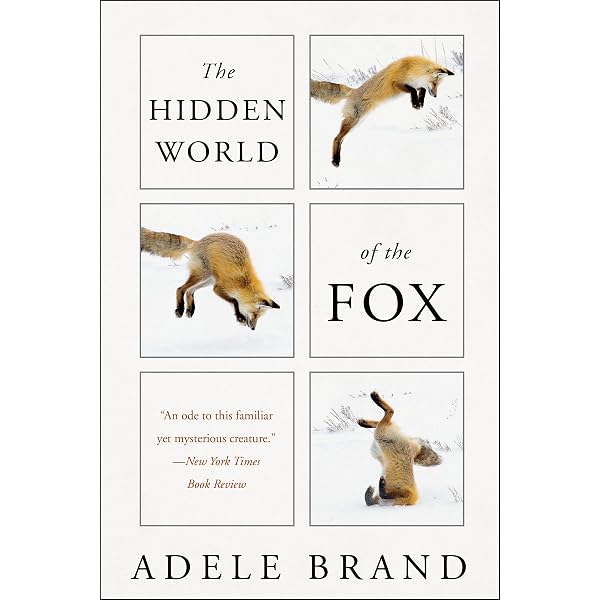 Finding the Fox: Encounters With an Enigmatic Animal: Tjernshaugen