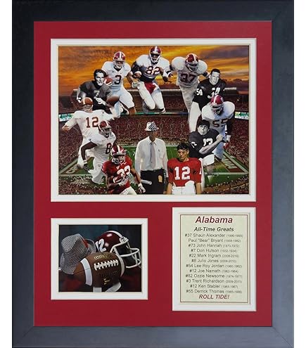 Amazon.com: 1996 Dream Team Going for the Gold Original Starline