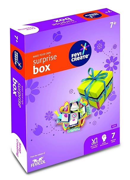 Pidilite Fevicreate Make Your Own Surprise Box Best Fun Loving & Learning Kit for Kids Birthday Party, Return Gift, Christmas Gift, School Nursery
