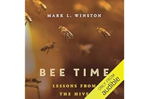 Bee Time: Lessons from the Hive