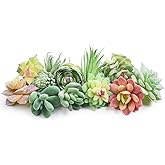 HappyHapi 12 Pcs Artificial Succulents Mini Fake Plants Unpotted Faux Succulent for Craft, Small Plastic Succulents Assortment in Flocked Green Floral Decor for Party, Cake, Garden & Outdoor