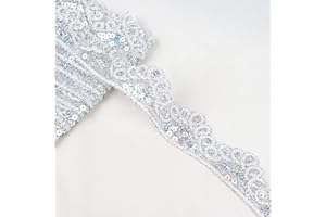 SEWDIYTR Silvery Lace Trim 5 Yards Beaded Lace Ribbon Applique Sequin Lace Mesh Trim for Sewing Crafts 1.6inch