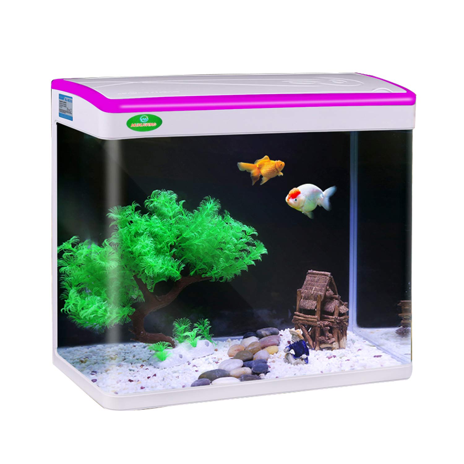 buy pet fish online