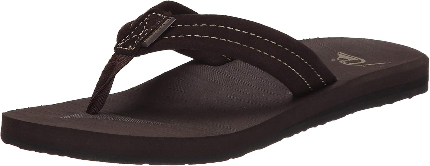 Quiksilver Carver Suede XE: Shoes