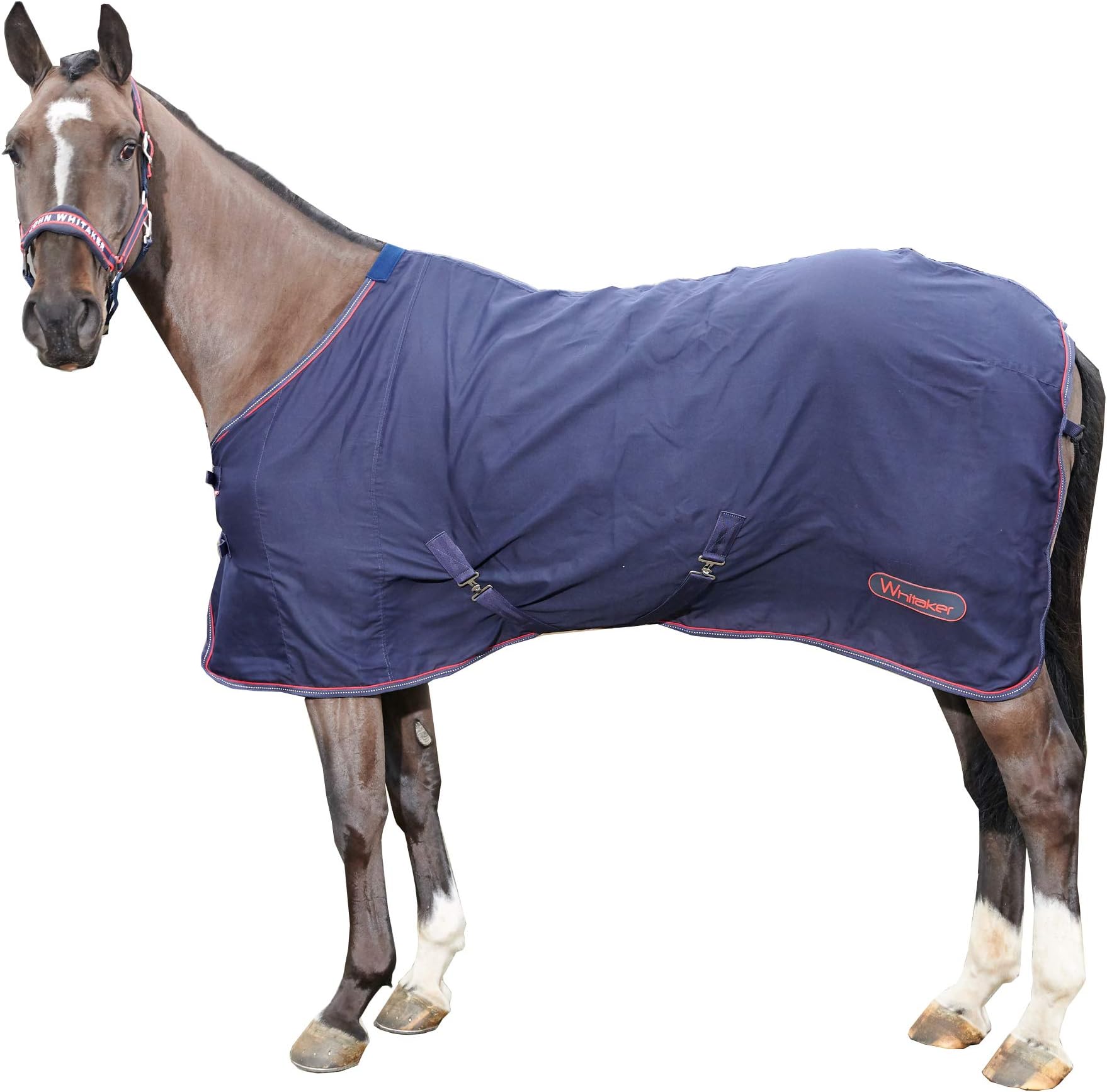 John Whitaker Summer Stable Travel Horse Sheet Lightweight Cooler Rastrick No Fill 0g Rug (5'0)