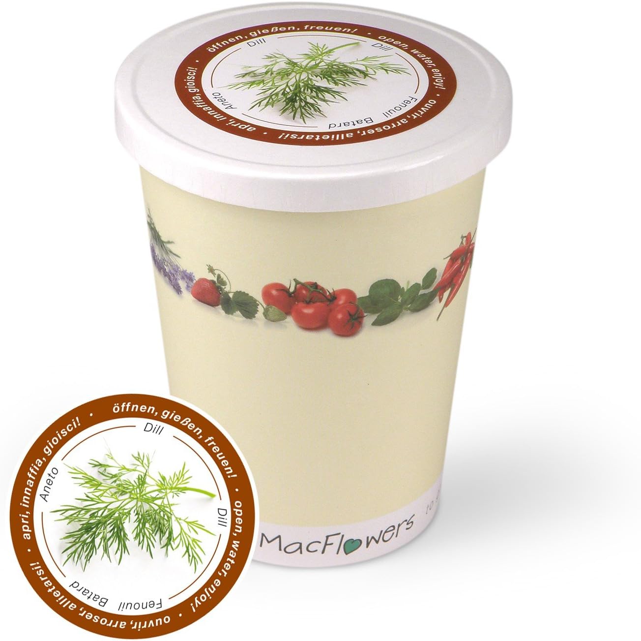 Extragifts Flowers in A cup TO Grow-Dill