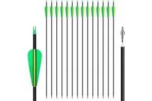 NorthSpoor 14pcs 30" Carbon Archery Arrows Practice Arrows with Removable Tips Shaft Spine 500 with Both Compound Bow and Rec