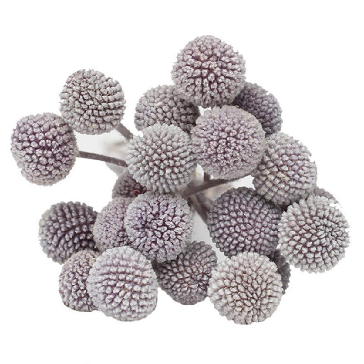 INVISIKAYAK Craspedia globosa Material Flower Immortal Eternal Flowers Gift (dark grey, 40pcs)