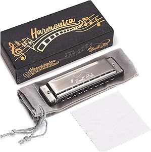 Harmonica for Toddlers, Kids, and Adults, Musical Instrument for Beginners with 10 Holes and 20 Notes, Stainless Steel Diatonic Mouth Organ Set Complete with Storage Bag, Blues Harp for Boys & Girls