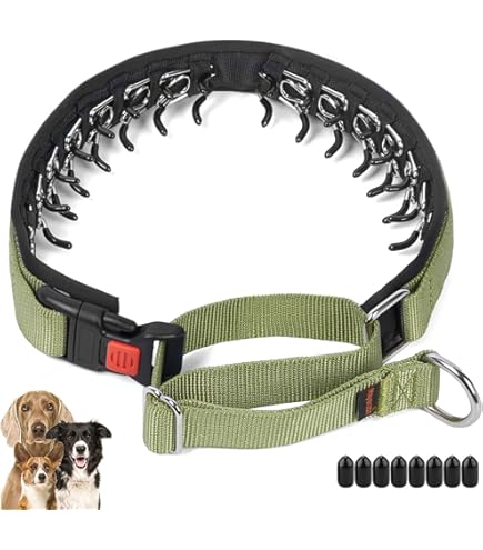 Dog Training Collar Hidden Prong Collar For Dogs Dog Pinch