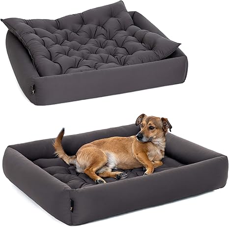 Doctor Bark Pointer Set Panier Pour Chien Orthopedique Avec Coussin Canape Pour Chien Pour Interieur Et Exterieur Elegant Lavable A 95 C Taille Et Couleur Selectionnables Xxl Anthracite Amazon Fr Animalerie