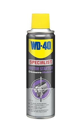 WD-40 Specialist Motor Starter, 1 Stück, 250 ml, 49058