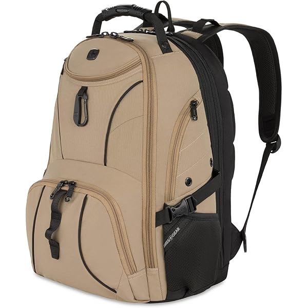 Amazon.com: SwissGear 1900 Mini ScanSmart 16-Inch Backpack, Fits