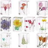 JINLISPIN 10 Pcs Flower in Resin Specimen Pressed Flower Paperweight Flower in Resin Specimen Collection for Desk Real Flowers Samples Paper Weights for Kids Scientific Educational Display Supplies