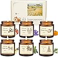 6 Pack Candles for Home Scented, Aromatherapy Christmas Candles Gifts for Women Men, Fall Winter Holiday Candles Natural Soy Candles, Christmas Candle Set for Stocking Stuffers Birthday Christmas Day