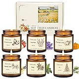 6 Pack Candles for Home Scented, Fall Candle