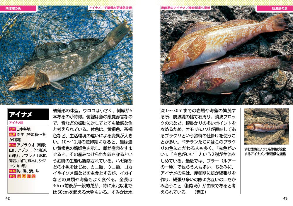 新版 写真でわかる釣り魚カラー図鑑 豊田直之 西山徹 本間敏弘 本 通販 Amazon
