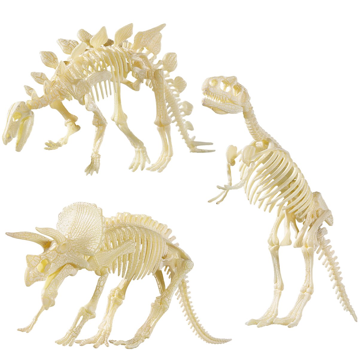 NUOLUX Nuolux 4D Dinosaur Fossil Skeleton Assorted Dinosaur Toy DIY 3 Pieces Dino Bone Fossils for Children Boys Girls,5,3 x 2 x 0,8 Zoll
