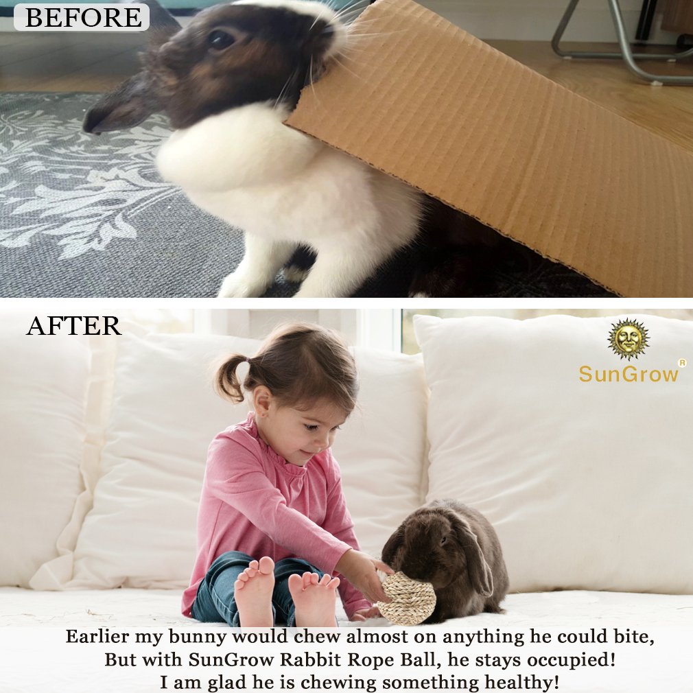 SunGrow Rabbit Rope Ball : Natural Grass Ball: Environmentally Friendly Toy: Entertaining & Fun for Your Pet: Suitable for Guinea Pigs & Chinchillas & Other Small Pets