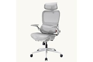 SIHOO B100 PRO Ergonomic Office Chair, Office Chair with Adaptive Dynamic Lumbar Support, 4D Flip-Up Armrests, 3D Wide Headre
