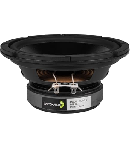 Amazon.com: Dayton Audio RS225-8 8