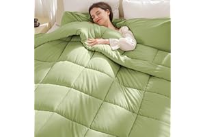 ELNIDO QUEEN Queen Comforter Set, 3 Piece Sage Green Queen Size Bedding Sets for All Seasons, Lightweight Down Alternative Comforter and 2 Pillowcases (88"x90", Sage Green)