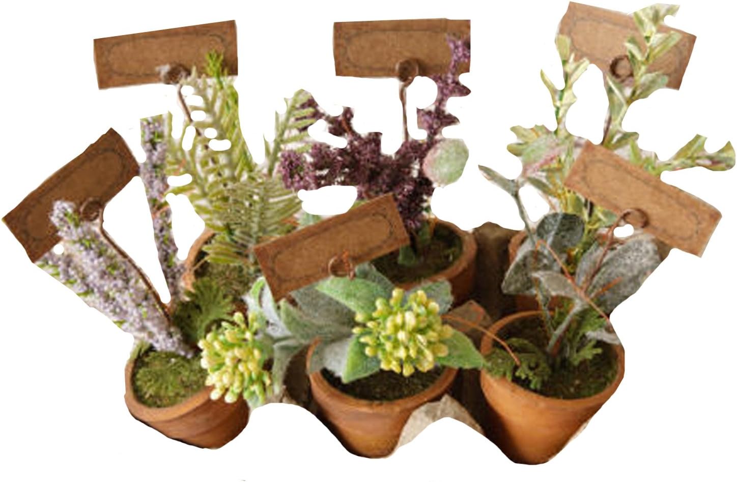 Your Heart's Delight 6 Mini Herb Garden Pots with Tags, 1-1/4 by 5-1/2-Inch