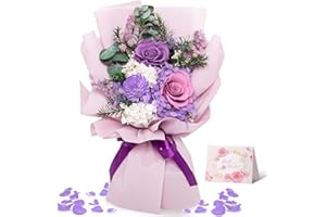 Impouo Preserved Roses Bouquets, Forever Flowers,Birthday Gifts for Women Mom Girlfriend Grandma on Christmas Valentines Mothers Day-Purple Rose