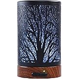 EQUSUPRO Essential Oil Diffuser 100ml Metal Aromatherapy Oil Diffuser Ultrasonic Cool Mist Diffuser with Waterless Auto Shut-