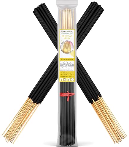 Amazon.com: Frankincense Exotic Incense Sticks Jumbo 19 Inch Long