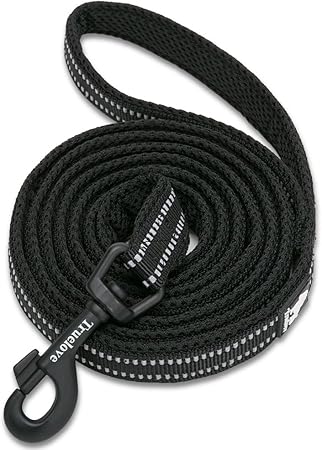 dog leash outdoor