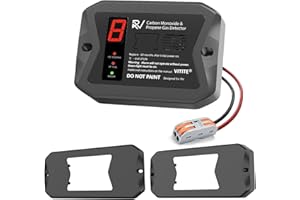 RV Dual LP/C0 Alarm, VITITE 2 in 1 RV Propane Gas Detector, DC 12V - Designed for Motorhome Travel, Digital Display & 85dB Al