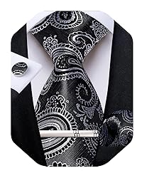 DiBanGu Silk Paisley Ties for Men Woven Necktie and