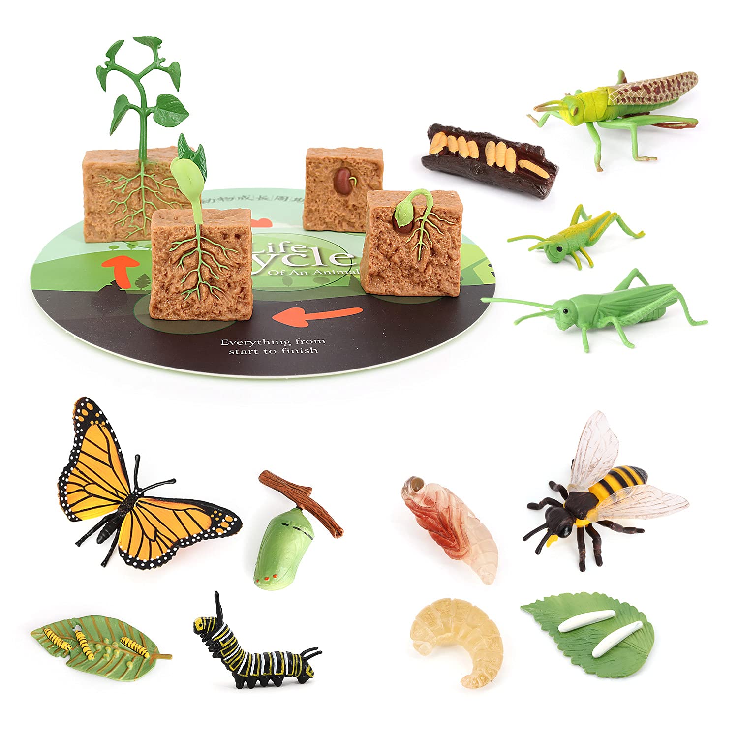 Volnau Animal Figurines Toys 16PCS Life Cycle Set Plant Locust Butterfly Caterpillars Bee Animal Figures for Toddlers Kids Decorations Preschool Educational Prop