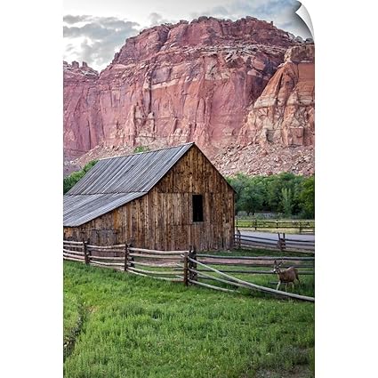 Amazon Com Canvas On Demand Circle Capture Wall Peel Wall Art