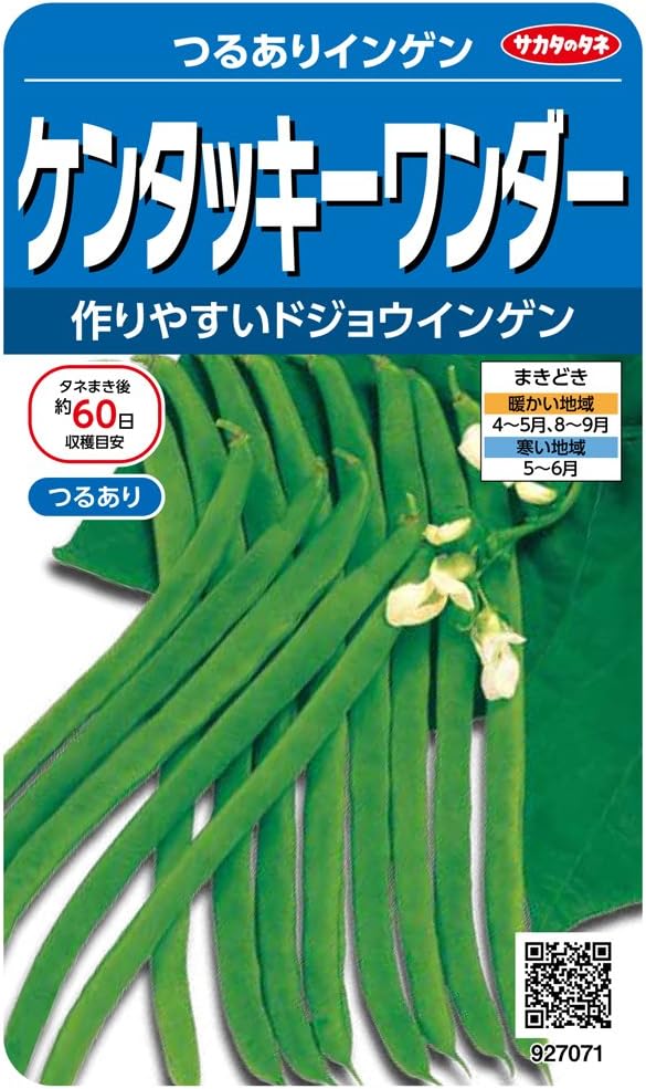Amazon サカタのタネ 実咲野菜7071 ケンタッキーワンダー つるありインゲン 野菜