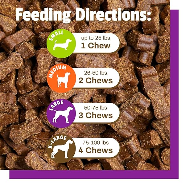 PET NATURALS DAILY PROBIOTIC FOR DOGS, 120M CFUS – PRE AND PROBIOTICS FOR DOGS DIGESTIVE HEALTH, GUT HEALTH, IMMUNE SUPPORT, DIARRHEA, ALLERGIES AND ITCHING – 60 CHEWS, DUCK FLAVOR