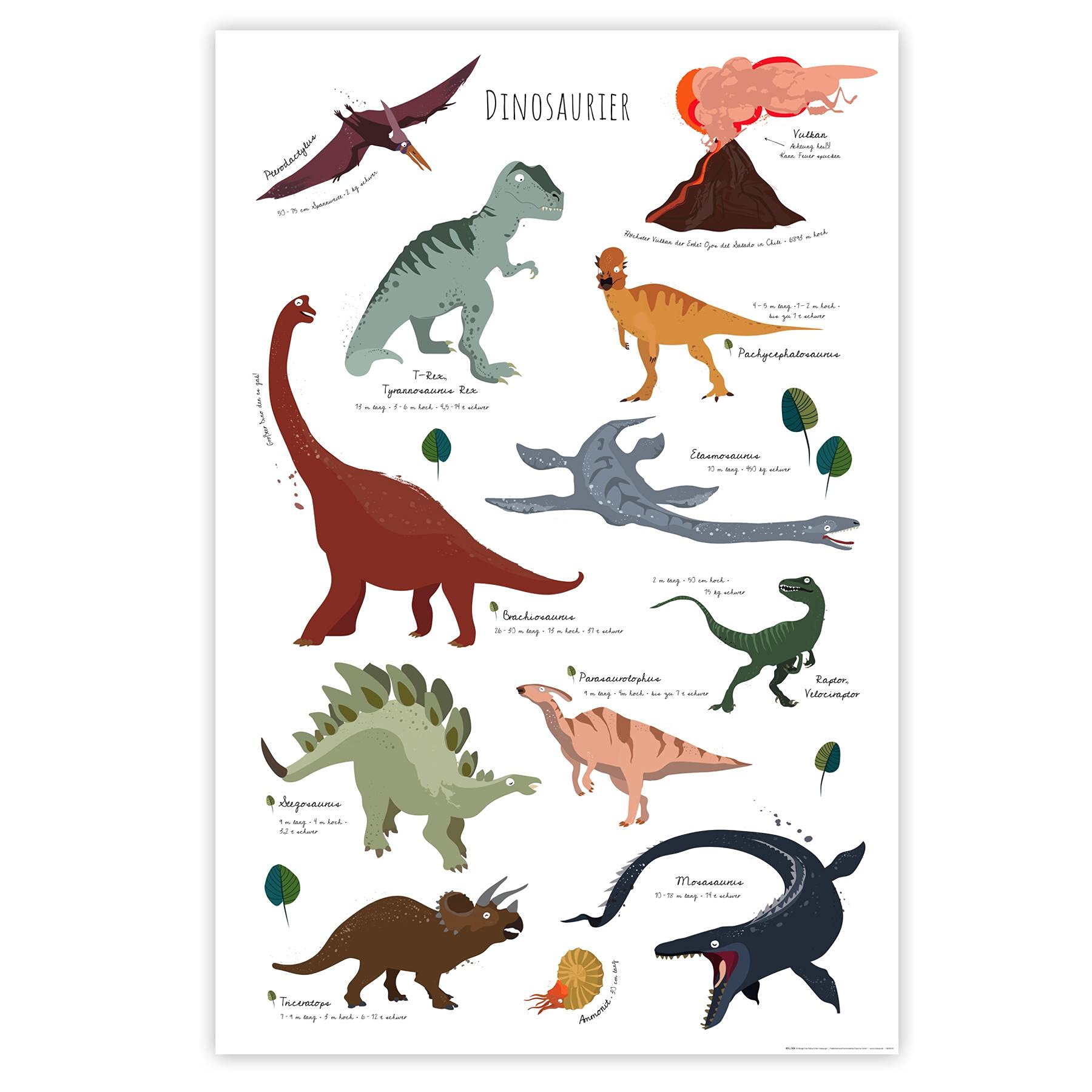 Close Up Children's Learning Poster Dinosaur 61 x 91.5 cm Children's Room Dino Premium Poster