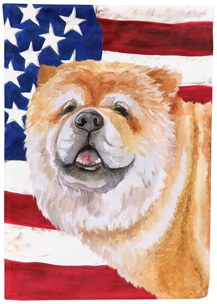 Carolines Treasures Bb9695chf Cane Corso Patriotic Decorative Canvas Outdoor Flag House Size Multicolor