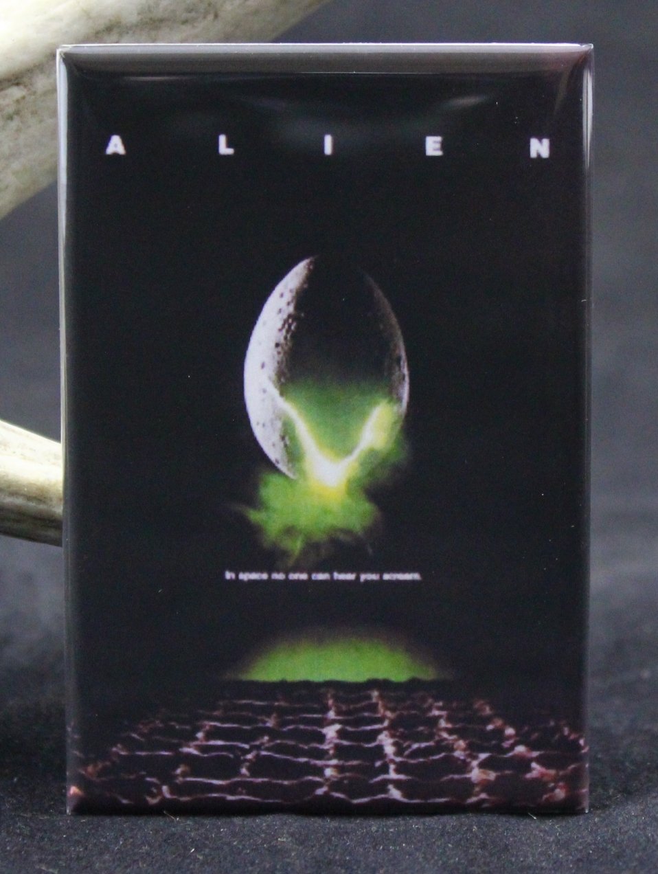Which Is The Best Refrigerator Magnets Movies Aliens
