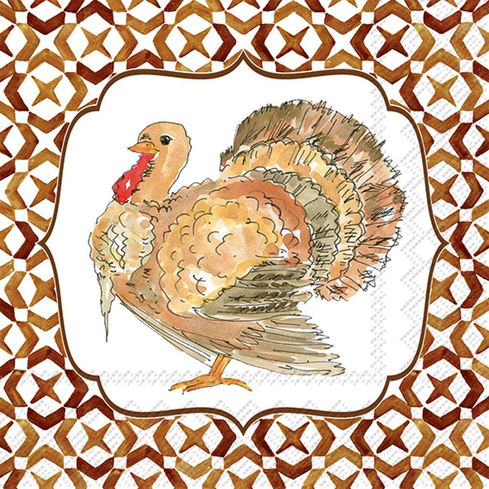 Ideal Home Range 20 Count Rosanne Beck Paper Cocktail Napkins, Cocktail Turkey