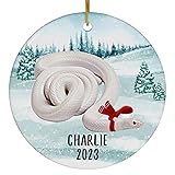 Santa Hat and Scarf Welcome Winter Snow Eastern