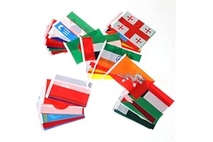 48 Pack Asian Country Flags, Small Flags of the World International Flags on Sticks, World Flags Party Decorations, Office De