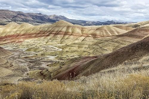 Amazon Com The Hills Are Alive With Color Fine Art Photography