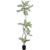 AfanD Artificial Jacaranda mimosifolia Tree, 6ft Tall Fake Plants Artificial Umbrella Plants for Indoor, Fake Trees for Office Home Living Room Floor Patio Greening Porch Decor